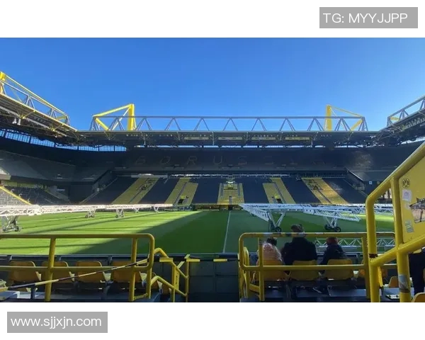 多特蒙德球星帕斯拉克足球卡全解析:珍稀收藏与球场表现的完美结合 多特蒙德球星帕斯拉克足球卡全解析:珍稀收藏与球场表现的完美结合